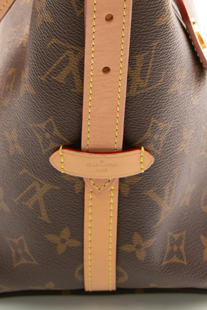 CarryAll PM Bag
