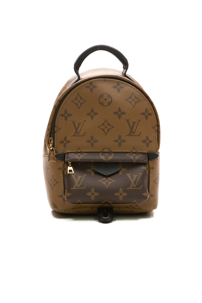 Louis-Vuitton-Palm-Springs-Mini- Backpack-293622