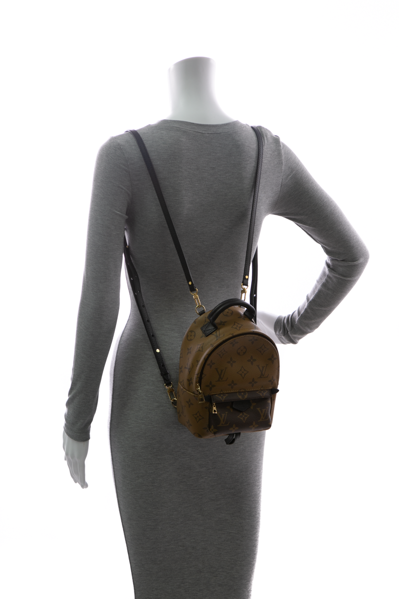Louis-Vuitton-Palm-Springs-Mini- Backpack-293622