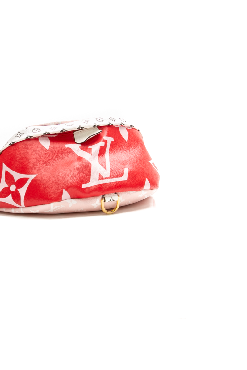 Giant Monogram Bumbag