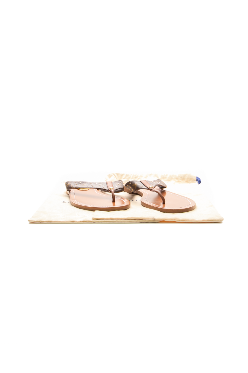 Sunny Flat Thong Sandals - Size 41