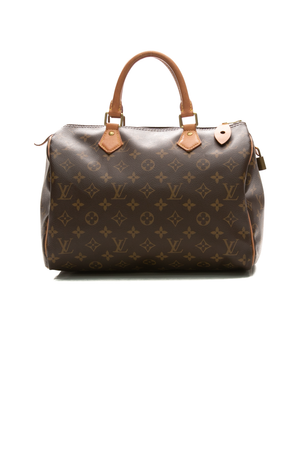 Louis-Vuitton-Speedy-30-Bag-295390