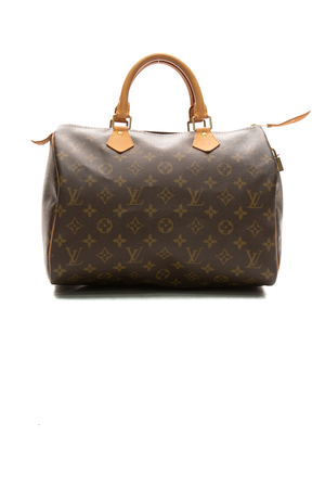 Louis-Vuitton-Speedy-30-Bag-295868