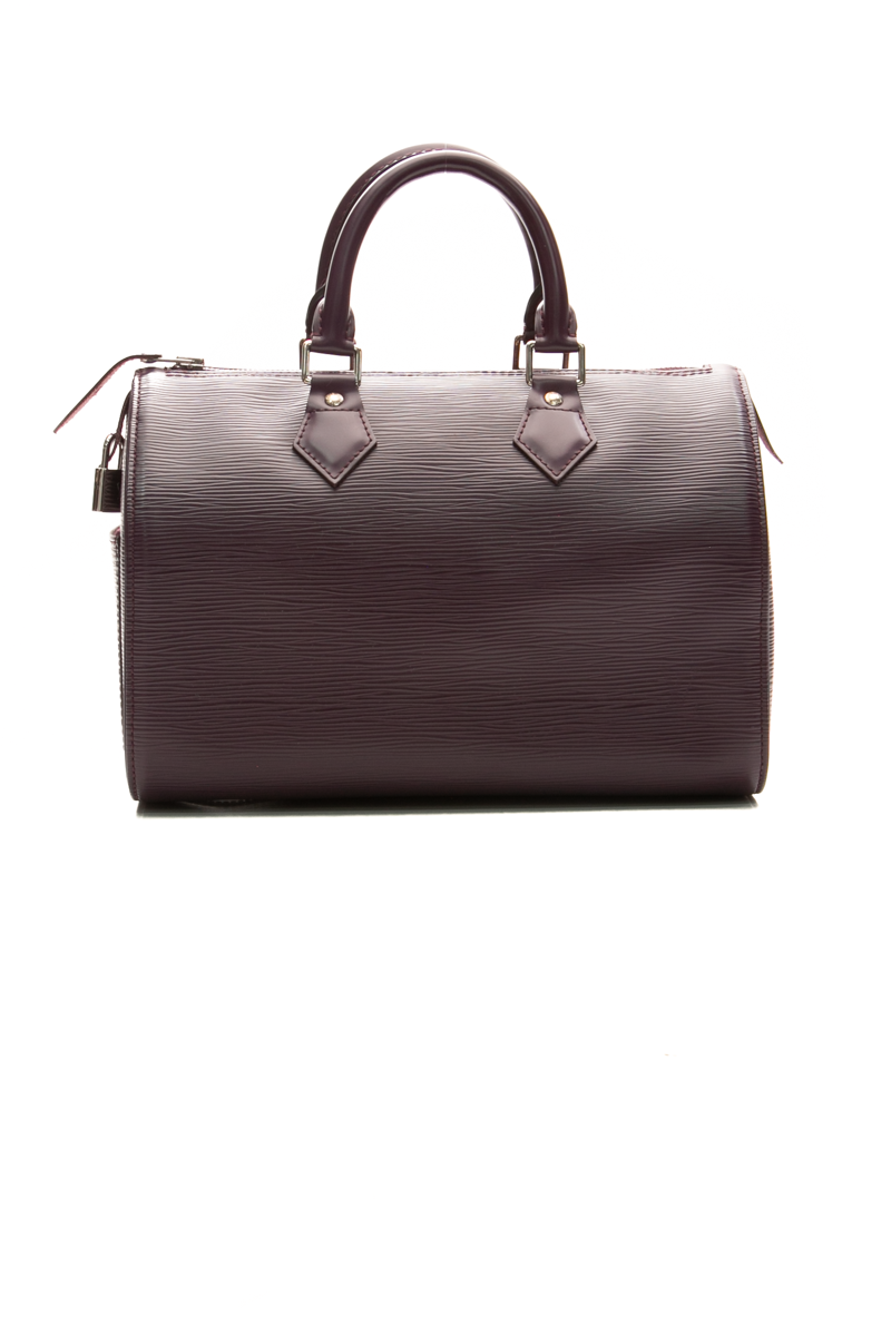 Louis-Vuitton-Speedy-25-Bag-298095
