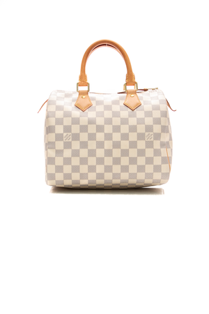 Louis-Vuitton-Speedy-25-Bag-298727