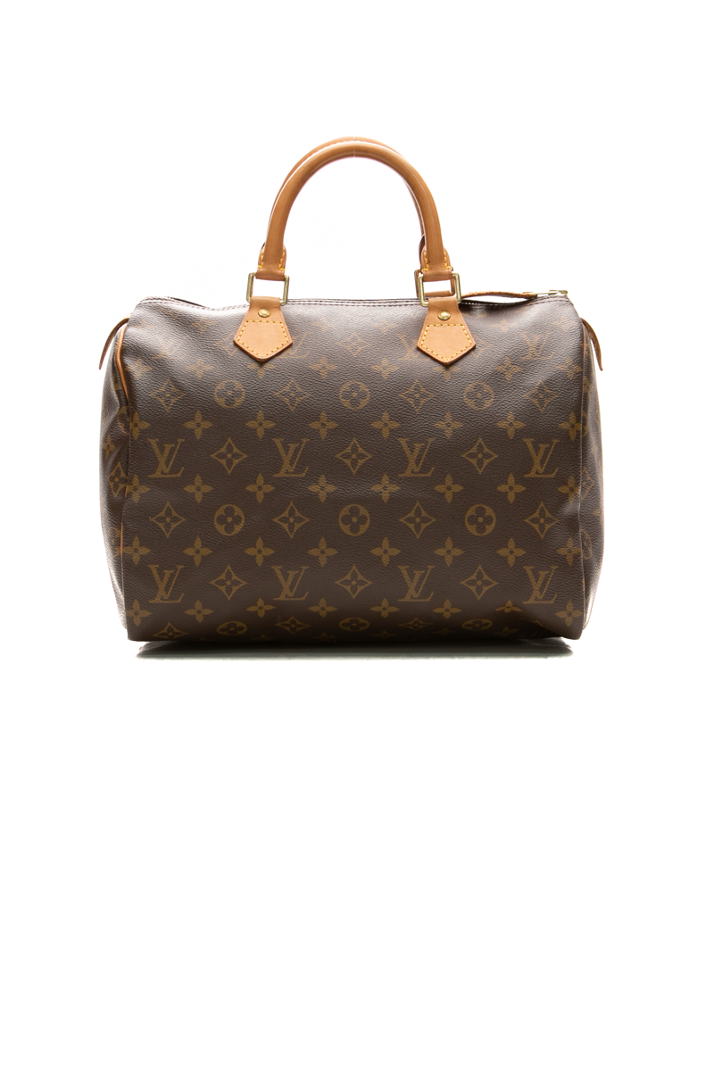 Louis-Vuitton-Speedy-30-Bag-299011