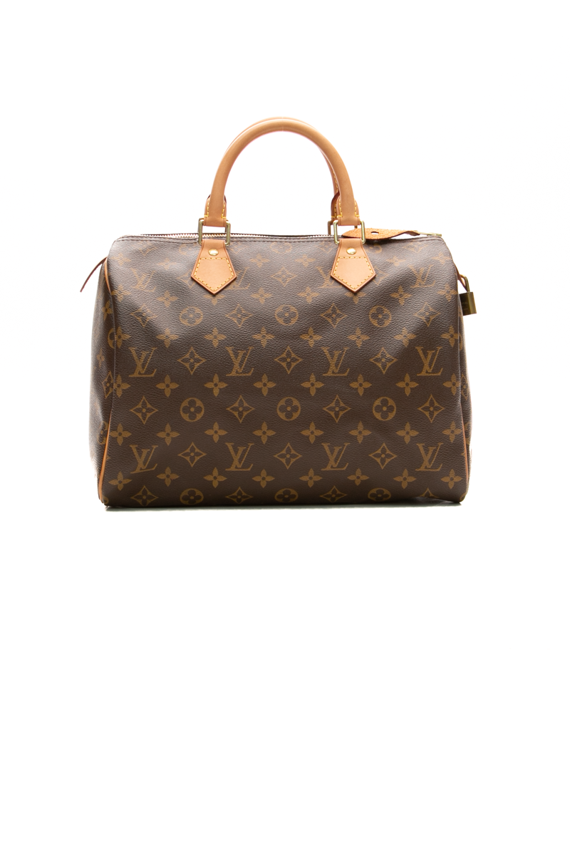 Louis-Vuitton-Speedy-30-Bag-299012