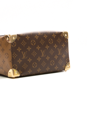 Speedy Trunk 25 Bag