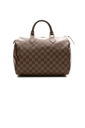 Louis-Vuitton-Speedy-30-Bag-299136