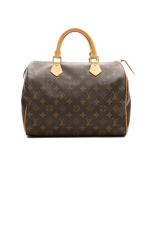 Louis-Vuitton-Speedy-30-Bag-299137