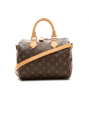 Louis-Vuitton-Speedy-Bandouliere-25-Bag-299259
