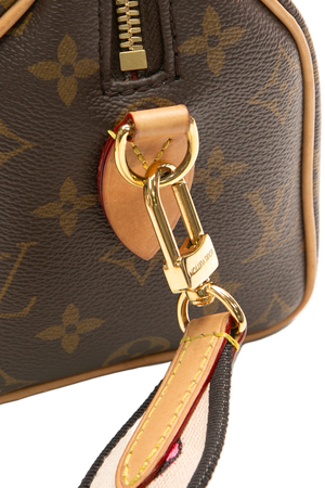 Speedy Bandoulière 20 Bag