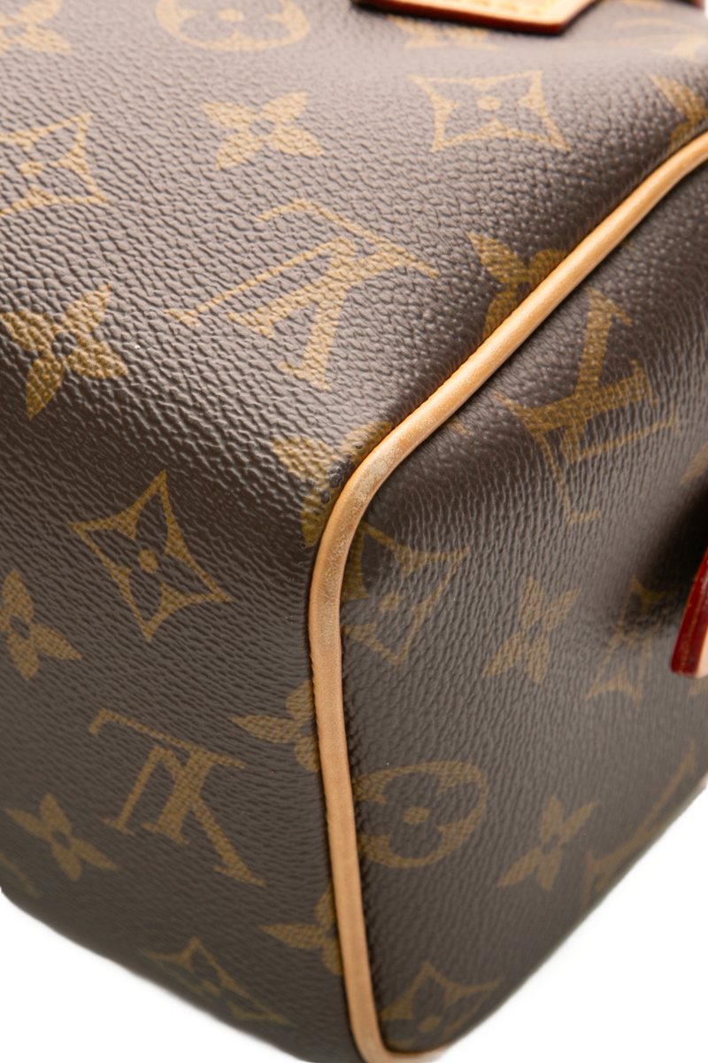 Speedy Bandoulière 20 Bag