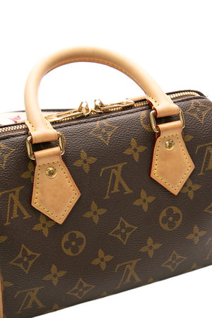Speedy Bandoulière 20 Bag