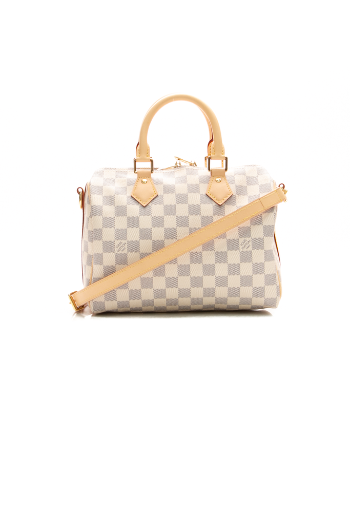 louis-vuitton-speedy-299495-