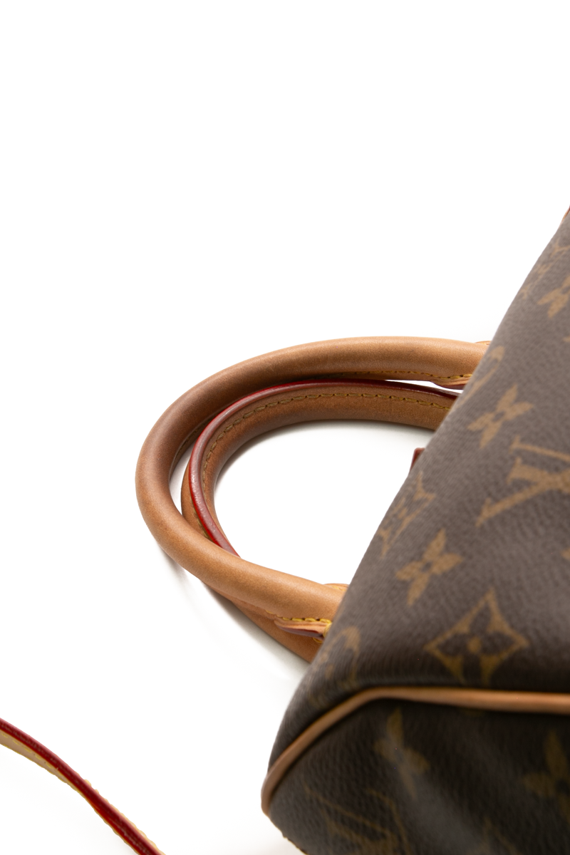 Speedy 25 Bandouliere Bag