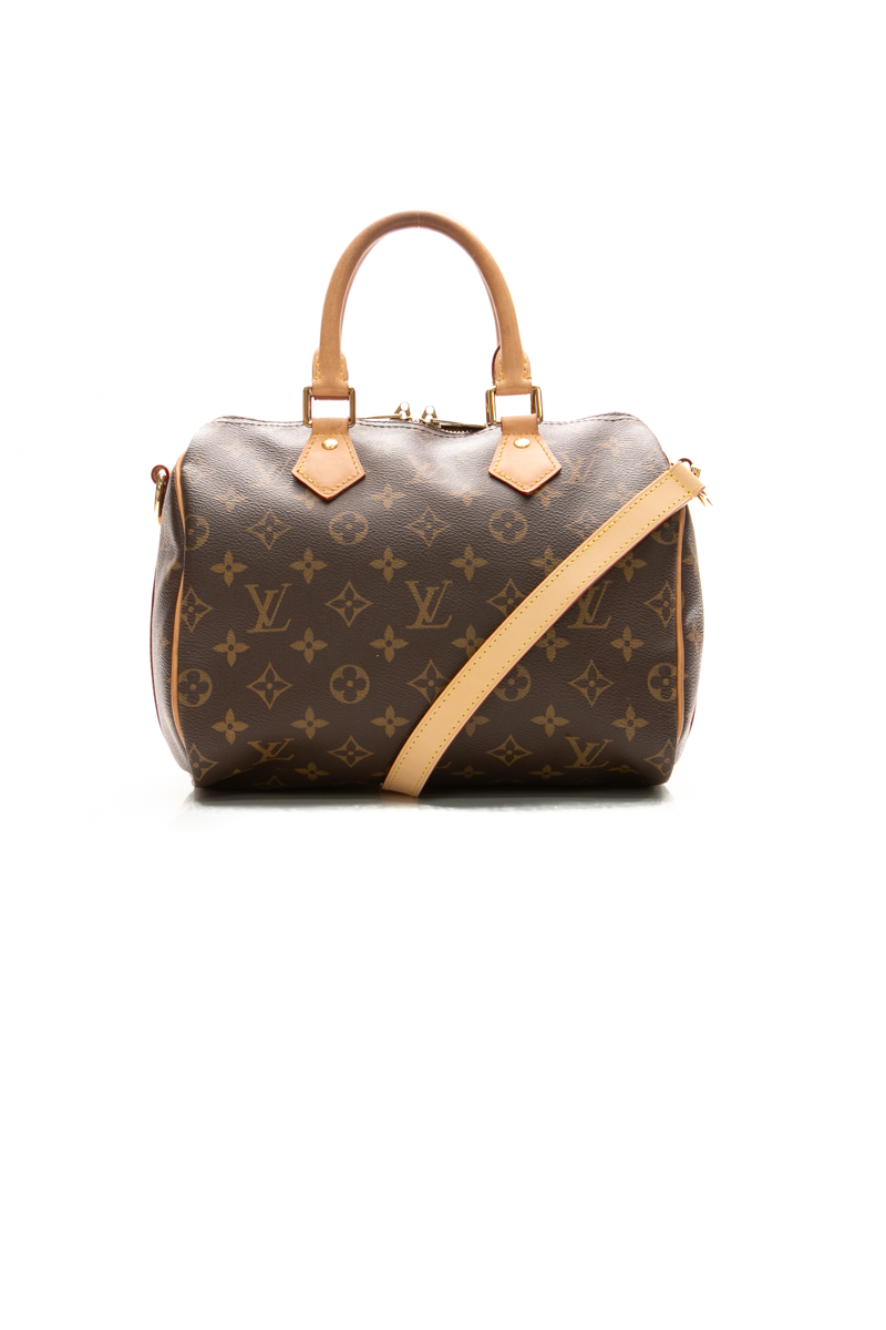 Louis-Vuitton-Speedy-25-Bandouliere-Bag-299613