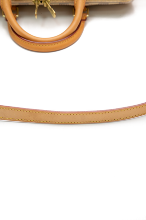 Speedy 30 Bandouliere Bag
