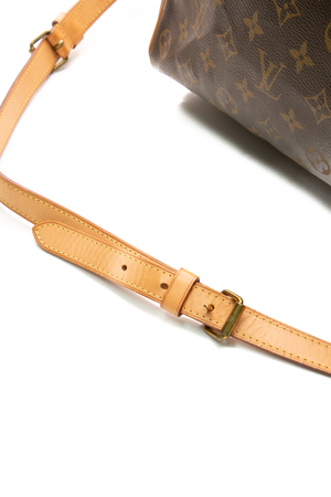 Speedy 35 Bandouliere Bag