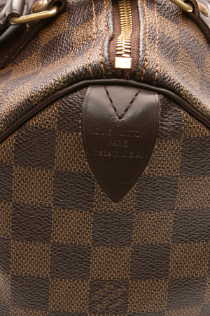 Speedy 25 Bag