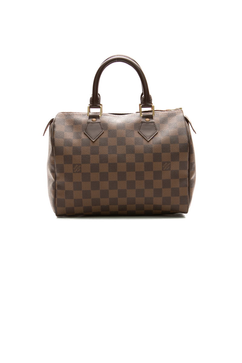 Louis-Vuitton-Speedy-25-Bag-300256