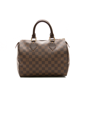 Louis-Vuitton-Speedy-25-Bag-300256