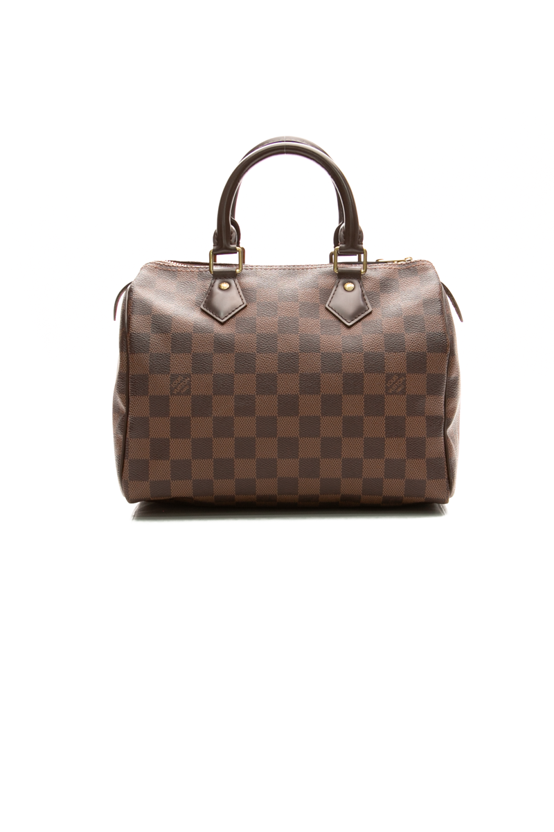 Louis-Vuitton-Speedy-25-Bag-300268