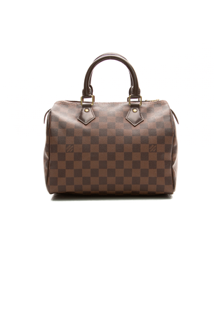 Louis-Vuitton-Speedy-25-Bag-300268