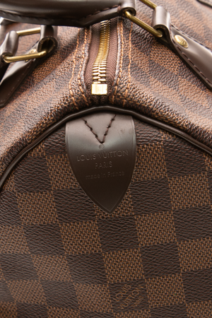 Speedy 25 Bag