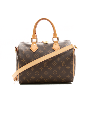 Louis-Vuitton-Speedy-25-Bandouliere- Bag-300424