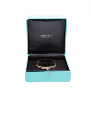 Tiffany T Two Hinged Bangle Bracelet