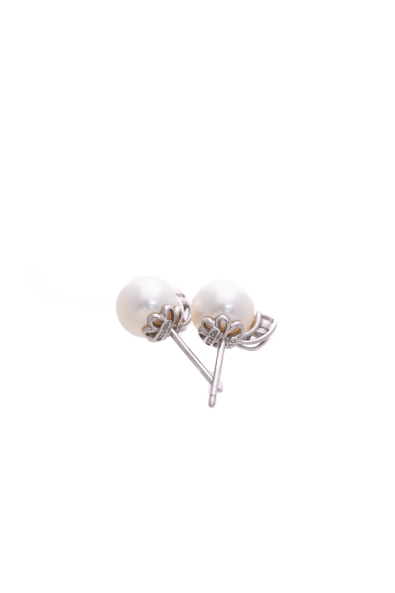 Signature Pearls Stud Earrings