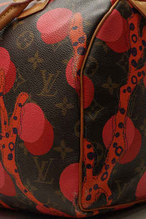 Louis Vuitton Ramages Speedy 30 Bag - Grenade Monogram